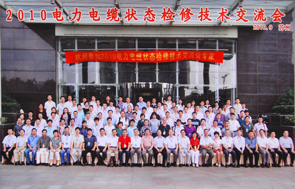 cq9电子官网入口加入2010年电力电缆状态磨练手艺交流会