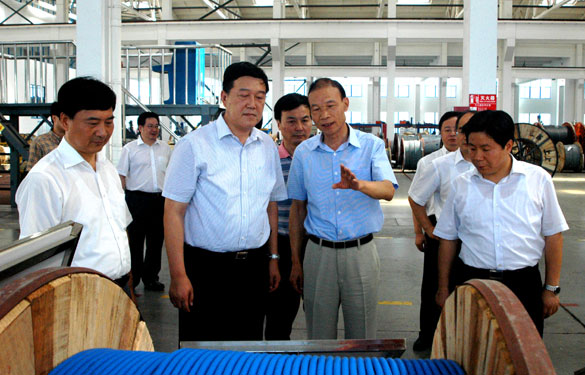 常州市代市长姚晓东一行来cq9电子官网入口集团视察