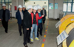 2015年11月22日，，，，，，，，郎溪县党政代表团一行来cq9电子官网入口电缆旅行考察