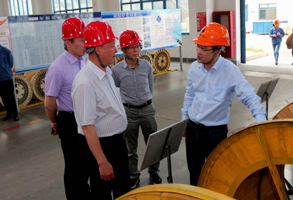 2016年5月14日，，，，，，，宁夏回族自治区人民政府研究室副主任苏昀一行来cq9电子官网入口电缆调研