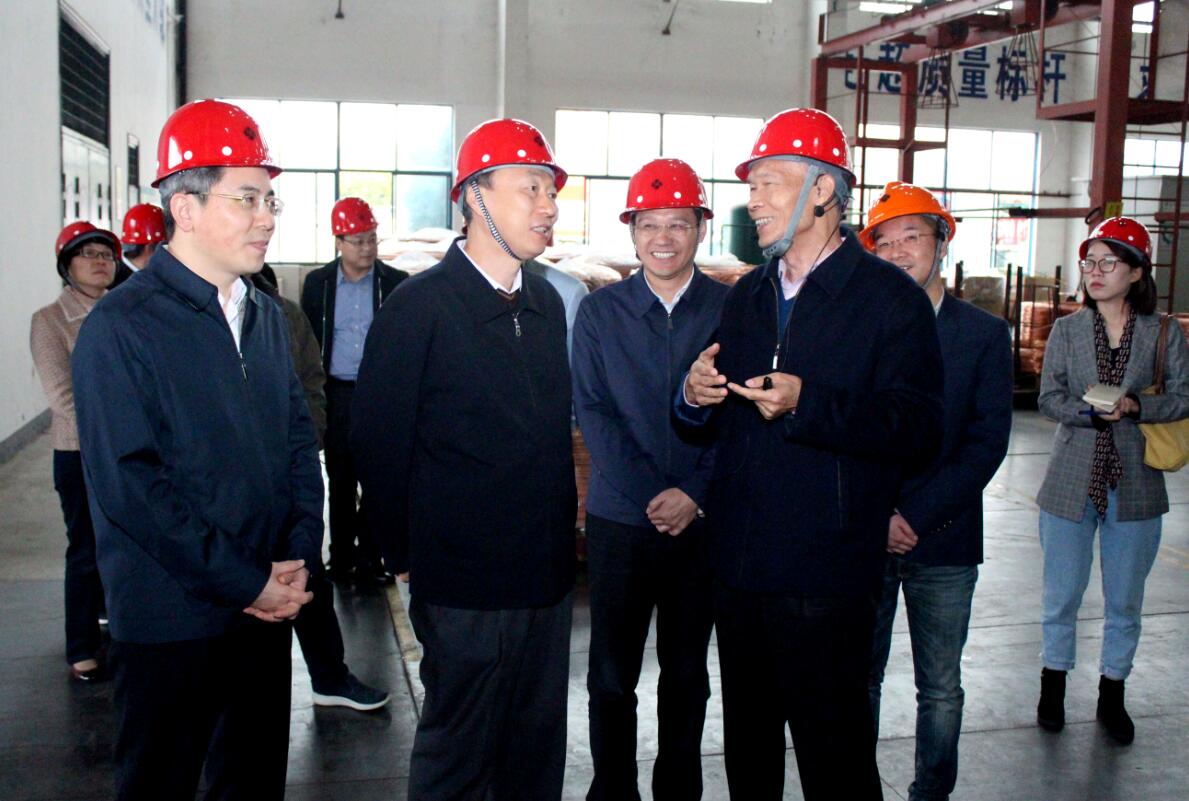 江苏省副省长马秋林一行来cq9电子官网入口电缆调研