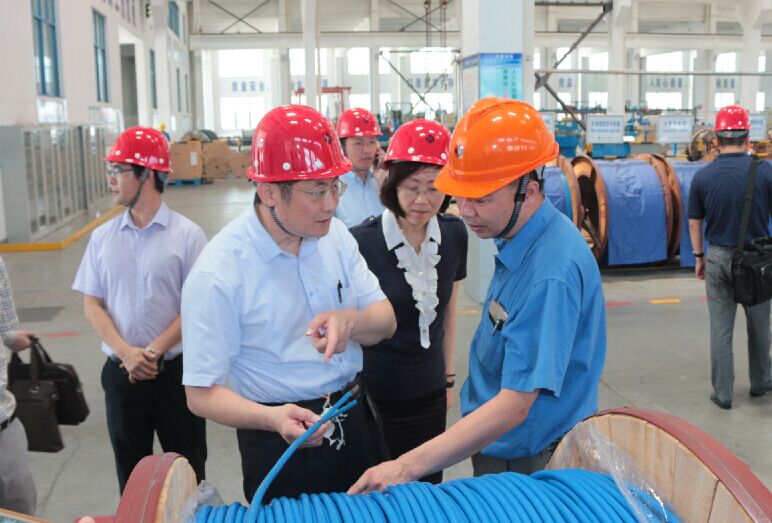 2016年7月22日，，，，，，，泸州市委常委、副市长王建翔一行来cq9电子官网入口电缆旅行考察
