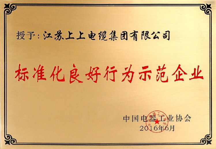标准先行促生长，，，，，cq9电子官网入口电缆再获殊荣