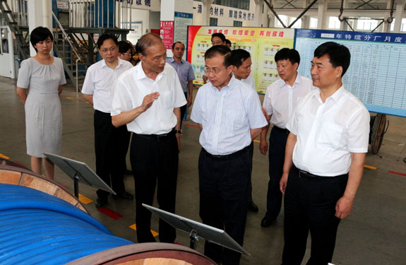 江苏省副省长傅自应来cq9电子官网入口集团视察