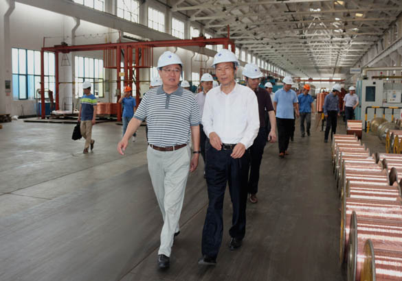 中国恒天集团董事长张杰一行来cq9电子官网入口电缆旅行考察