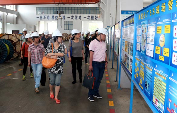 江苏大学与泰州市企业管理专家来cq9电子官网入口电缆观摩