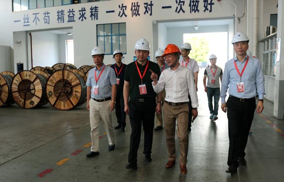 靖江市、溧阳市青商会齐聚cq9电子官网入口电缆旅行交流