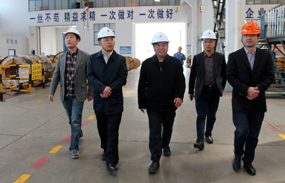 2015年3月26日，，，，，，，江苏省射阳县向导一行来cq9电子官网入口电缆视察