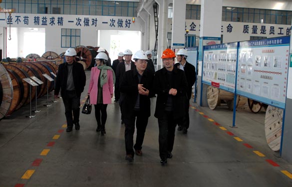 2015年3月13日，，，，，，，金坛市经信局向导一行来cq9电子官网入口电缆考察