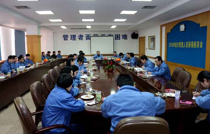 cq9电子官网入口召开2015年手艺、管理职员新春座谈会