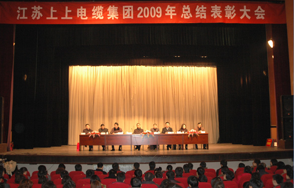 cq9电子官网入口盛大召开2009年度总结表扬大会