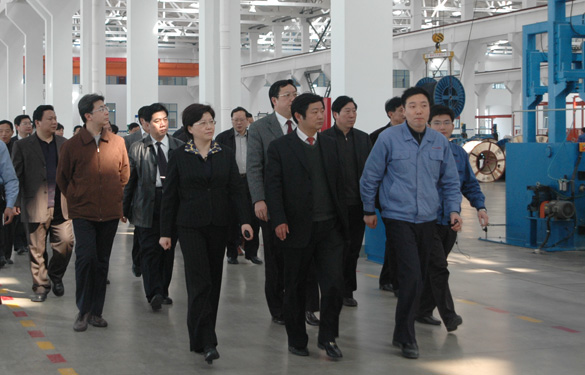 安徽省天长市党政代表团百余人来cq9电子官网入口集团旅行考察