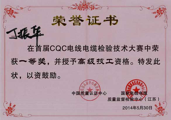 cq9电子官网入口电缆员工在首届CQC电线电缆磨练手艺大赛中获佳绩