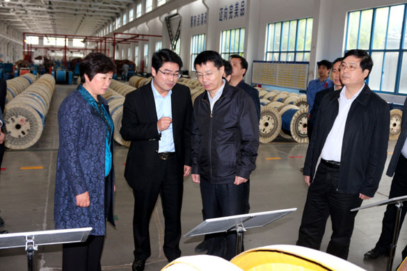 巢湖市委副书记张生一行来cq9电子官网入口集团旅行考察