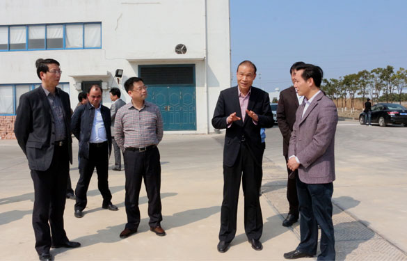 溧阳市代市长蒋锋一行来cq9电子官网入口集团督查新开工项目