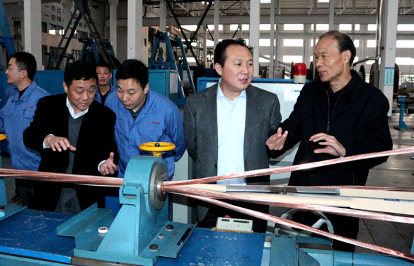 溧阳市供电公司总司理徐国平一行来cq9电子官网入口集团考察