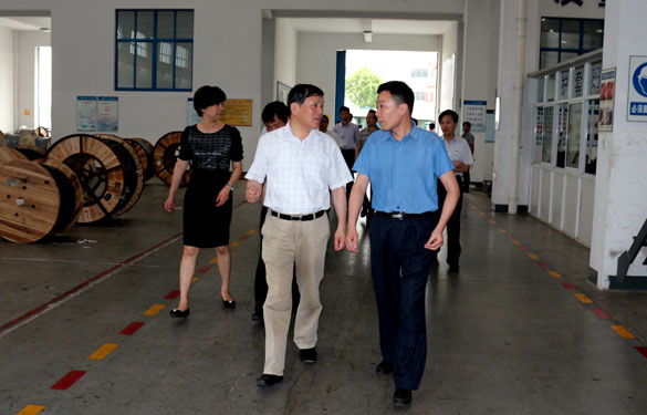 常州市人大向导一行来cq9电子官网入口集团调研