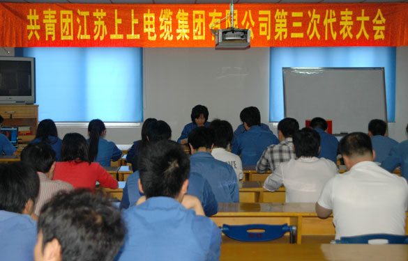 共青团cq9电子官网入口第三届代表大会暨换届选举大会胜利召开