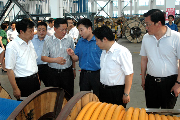 邳州市党政代表团来cq9电子官网入口集团旅行考察