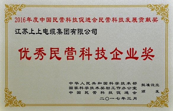 cq9电子官网入口电缆荣获优异民营科技企业奖