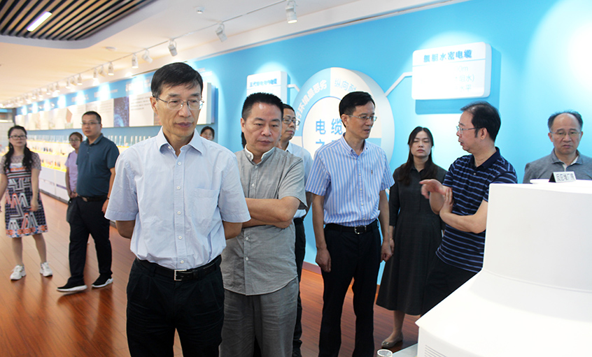 江苏省财务厅一级巡视员李载林一行来cq9电子官网入口电缆旅行交流