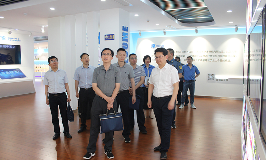 省委党史学习教育第十三督导组走访cq9电子官网入口电缆