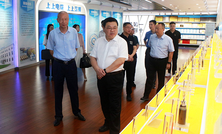 常州中院曹忠明院长一行来cq9电子官网入口电缆走访