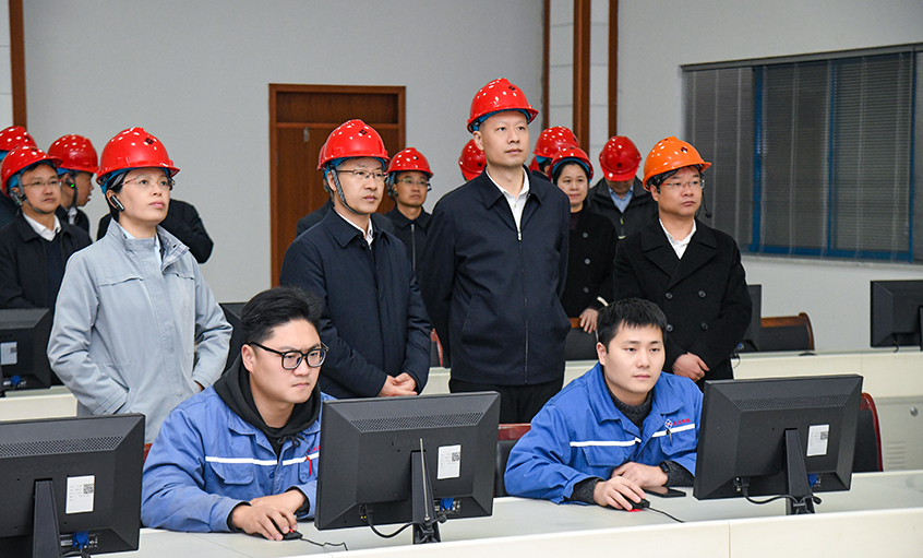 溧水区党政代表团来cq9电子官网入口电缆考察