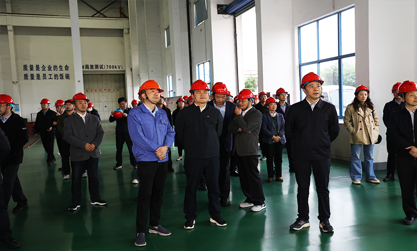 安徽池州青阳县党政代表团一行来cq9电子官网入口电缆考察