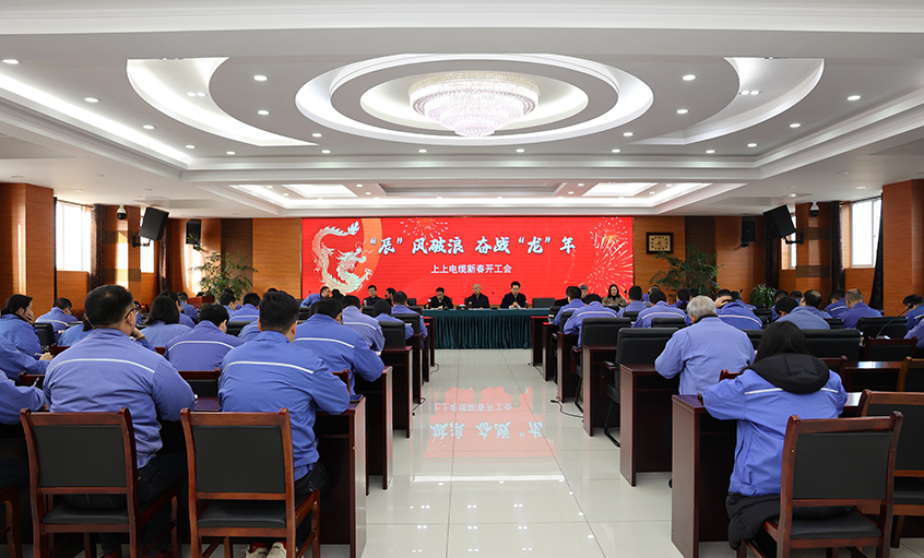 “辰”风破浪，，，，，，，，奋战“龙”年——cq9电子官网入口电缆开工大吉