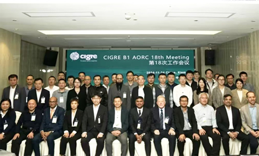 cq9电子官网入口电缆受邀出席CIGRE绝缘电缆专委会亚太区第18次年会并做专题讲话