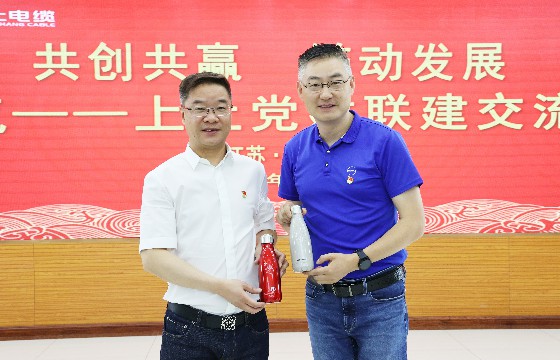 cq9电子官网入口电缆和上汽集团立异研发总院开展党建联建交流会