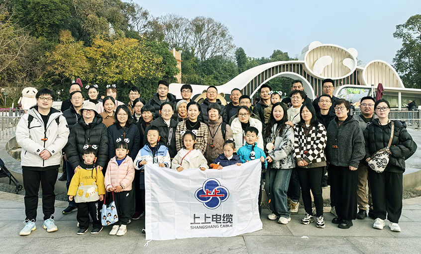 以文化润心 用眷注聚力——cq9电子官网入口2024年度先进员工蜀韵文化之旅圆满收官