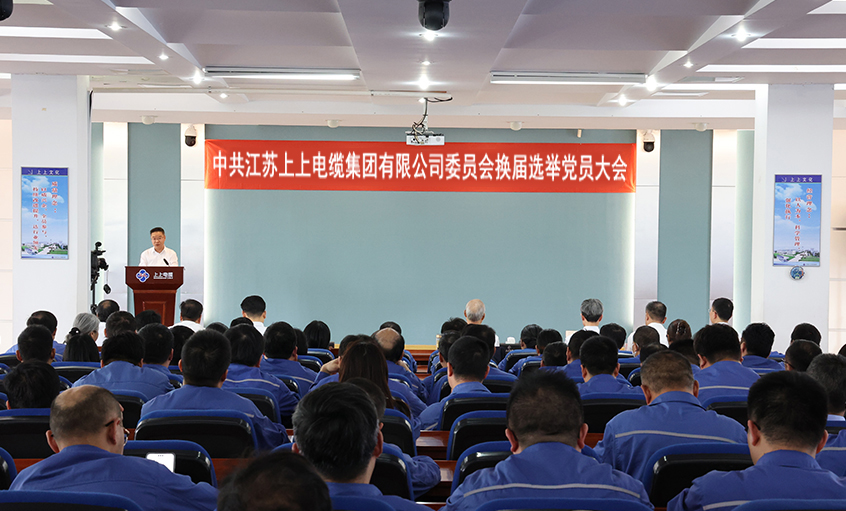 党建引领强基本 凝心聚力启新程—中共cq9电子官网入口委员会换届选举党员大会圆满召开