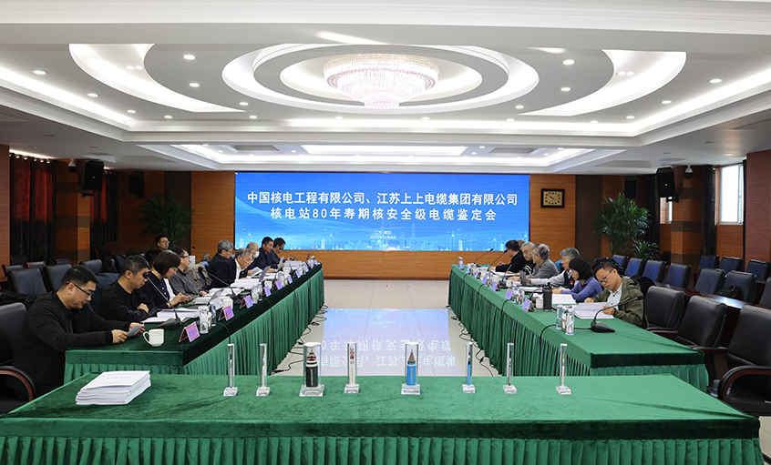 国际领先，，，，，，，cq9电子官网入口电缆“核电站80年寿期核清静级电缆”通过国家级判断