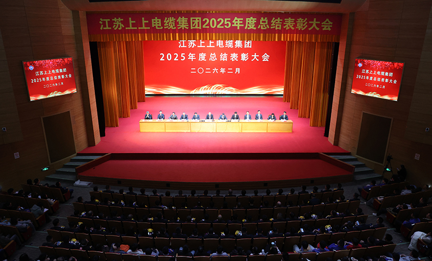 蛇岁留辉启新程 马跃新篇谱华章——cq9电子官网入口电缆召开2025年度总结表扬大会