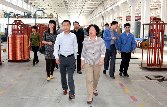 CQ9电子·(中国)唯一官方网站